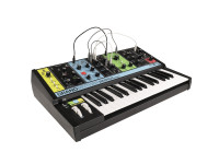 Moog Grandmother Moog Grandmother